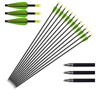 Tongtu Outdoor 12pack Archery Aluminum Arrows Hunting Bow Arrows 300 Spine with Changeable Tips for Compound and Recurve Bow