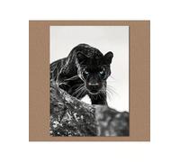 TONGYINLI Blue Eyes Black Leopard Canvas Painting - Animal portrait Posters Print Wall Art for Living Room, Home Office Decor Mural(70x100cm/Inner frame)