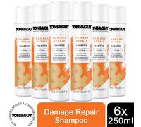 Toni & Guy Damage Repair Shampoo with Keratin Active Technology 250ml, 6 Pack