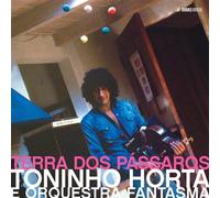Toninho Horta - Terra Dos Passaros