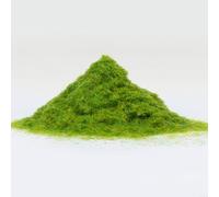 TONIXY 500G Nylon Artificial Grass Powder 3Mm For Model Railway Scenery, HO Scale Diorama Lawn And Tree Flock, Realistic Static Grass For Landscaping(30g)