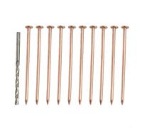 TONIXY Copper Nails To Kill Tree Stump Copper Nails For Killing Trees Root Stump Removal Spikes Hardware Trees 10 Pack With Drill