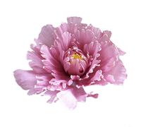 TONIXY Large Artificial Peony Flower Linen Plastic 30Cm Flower Head Big Fake Peony Bloom For Wedding Home Party Table Centerpiece Decor(Lotus root color)