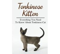 Tonkinese Kitten: Everything You Need To Know About Tonkinese Cat