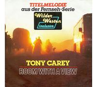 TONY CAREY - ROOM WITH A VIEW 7" (45) GERMAN METRONOME 1988 (8713867) PIC SLEEVE