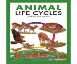 Tony Hare Animal Life Cycles Paperback Book Tony Hare Multicolor