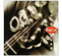 Tony Smith - Big Cat