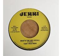 Tony Troutman - What'S the Use? / Instrumental [VINYL]