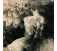 Tony Williams Angel Street [VINYL LP]