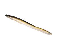 Tonysa Fishing Bait, Soft PVC Eel Simulation 6-Inch