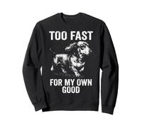 Too Fast For My Own Good - Running Vintage Dachshund Drawing Sweatshirt