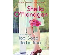 Too Good To Be True : A feel-good read of romance and adventure