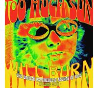 Too Much Sun Will Bu - Too Much Sun Will Burn: The British Psychedelic Sounds Of