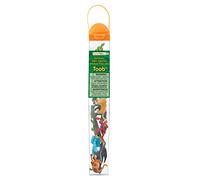 Toob 680504 - Rainforest