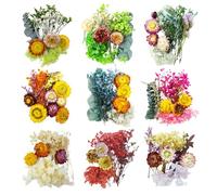 TooGet Dried Flowers 9 Bags Mixed Color Natural Real Dried Flowers Leaves for Crafts Colorful Mini Dry Wildflowers Plants for DIY Art Candle Resin, Jewelry Crafts, Weeding Home Decorations
