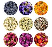 TooGet Dried Flowers Includes Lavender, Forget-me-not, Marigold, Jasmine, Scindapsus Aureus Flower, Rose, Gomphrena Globosa, Strawflower, Natural Flowers for All Kinds of Crafts