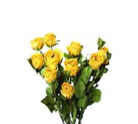 TooGet Natural Dried Flowers Bouquet, 10 Pcs Yellow Dried Roses for Wedding Decoration and DIY Wreath Floral Home Decor