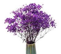 TooGet Purple Dried Flowers Dried Babys Breath Flowrs Bouquet Natural Gypsophila Branches for Home Decor, Wedding, Table Decor, DIY Wreath Floral, Dry Flowers Bulk for Vase