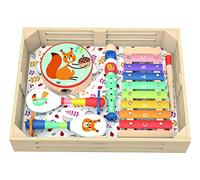 Large Musical Instrument Set - Forest