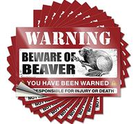 Tool Box Stickers Beware of Beaver Funny Sticker 10 Pcs Mechanic Stickers Bumper Sticker(6X9CM)