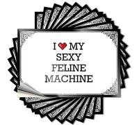 Tool Box Stickers I Love My Sexy Feline Machine Stickers Sticker Box Funny Car Stickers(12X18CM)