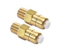 Tool Daily Thermal Release Valve for Pressure Washer Pump, 1/4 Inch NPT, 2 Pack