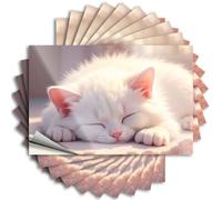 Tool Decal A Fluffy White Kitten Sleeping Peacefully Sticker 10Pcs Big Bandaid Sticker for Car Stickers for Trucks(12X18CM)