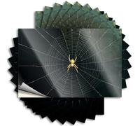 Tool Decal A Spider Sits in The Center of Its Web Sticker 10Pcs Big Bandaid Sticker for Car Stickers for Trucks(12X18CM)