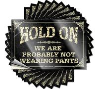 Tool Decal Hold On We're Probably Not Wearing Pants Funny Sticker 10 Pcs Love Stickers Decor for Man Cave(8X12CM)