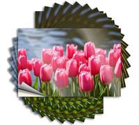 Tool Decal Pink Tulips by The Water Stickers 10Pcs Car Stickers for Men Big Bandaid Sticker for Car(8X12CM)