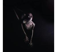 TOOL - Tool: Opiate² [DVD]