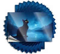 Toolbox Stickers and Decals A Black Cat Sits On Water Under A Starry Night Sky. Stickers 10Pcs Car Warning Sticker Sticker for Car Window(6X9CM)
