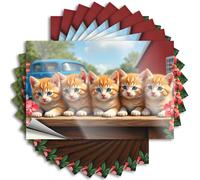 Toolbox Stickers and Decals Five Adorable Kittens with Striking Blue Eyes. Stickers 10Pcs Sticker for Car Window Car Stickers Funny(6X9CM)