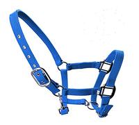 tooloflife Blue-Medium Adjustable Horse Print Padded Headcollars Nylon Equestrian Headcollar for Foal, Pony, Donkey