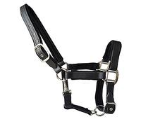 tooloflife Small Classic Comfort Horse Headcollar Halters Double-layer Thickened Nylon Equestrian Soft Padded for Foal Pony Donkey