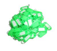 TOOLSTAR Key Labels, 100PCS Key ID Tags Key Labels Tags Plastic Key Tags, Tags with Key Rings as Key Fobs Luggage Pet Name Memory Stick Tags (Green)