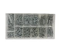 Toolzone 550 Piece Metric Sheet Metal Screw Assortment