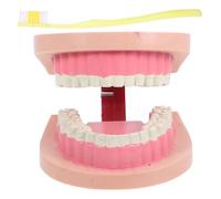 Tooth Model Engaging Science Experiment Tool for Teaching Oral Health and Anatomy for Elementary and Middle School Education Enhances Learning Through Fun