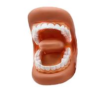 Tooth Model: Soft Portable Trainer, Flexible Teeth Model | Hands-on Learning Tool, Interactive Classroom Teaching Aid, PVC Practice for Children