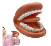 Tooth Model, Soft Wearable Fake Teeth Model For Educational Use, Fake Mouth, Soft Teeth Models For Hands Learning, Teaching Aid For Interactive Teaching Classroom For Kids, Adults