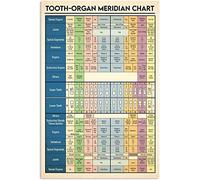Tooth Organ Meridian Chart Metal Tin Signs Vintage Tooth Anatomy Knowledge Educational Posters Dentist Office Living Room Home Wall Decor 8x12 inch