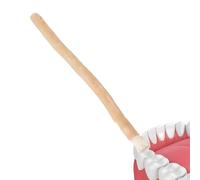 Toothbrush Natural Tooth Cleaner Stick | Tasted cleaning toothbrush for daily evening men women travel morning office on the go after eating