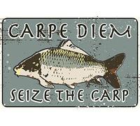 Toothsome Studios Carpe Diem Seize The Carp 12" x 8" Funny Tin Sign Bait and Tackle Shop Man Cave Garage Fishing Decor