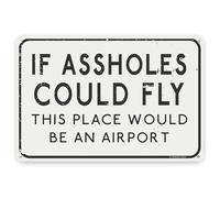 Toothsome Studios If A Holes Could Fly This Place Would Be an Airport 12" x 8" Funny Tin Sign Man Cave Garage Home Bar Decor