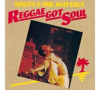 TOOTS & THE MAYTALS - REGGAE GOT SOUL VINYL LP NEW