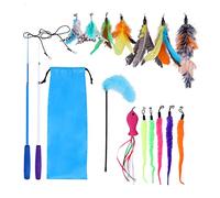 Toozey Feather Toys, Cat Toys with 2 Pcs Retractable Interactive Cat Rods and 13 Pcs Feather/Bug/Fish Replacement with Bells, Feather Dangler Toys with Storage Bag