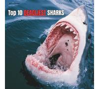 Top 10 Deadliest Sharks