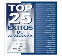 Top 25 Exitos De Alabanza