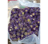 Top 5a Blue Lotus Dried Flowers For Sachet Pillow Filling Natural Nymphaea Bulk For Candle Wedding Incense Home Fragrance Making