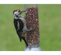 Top Banana Gifts British Birds - Great Spotted Woodpecker - Quality Mouse Mat